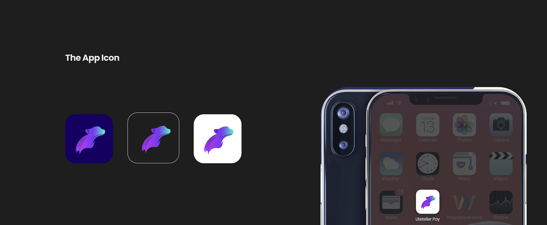 Liteteller Pay project frame